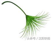 阜新南站列车最新消息,最新阜新南站普快列车表