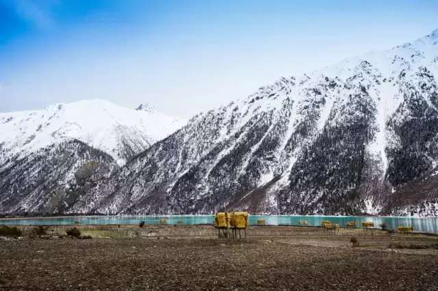 一封来自*藏西**的辞职信