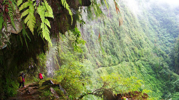 藏西线,最可怕的藏毒视频