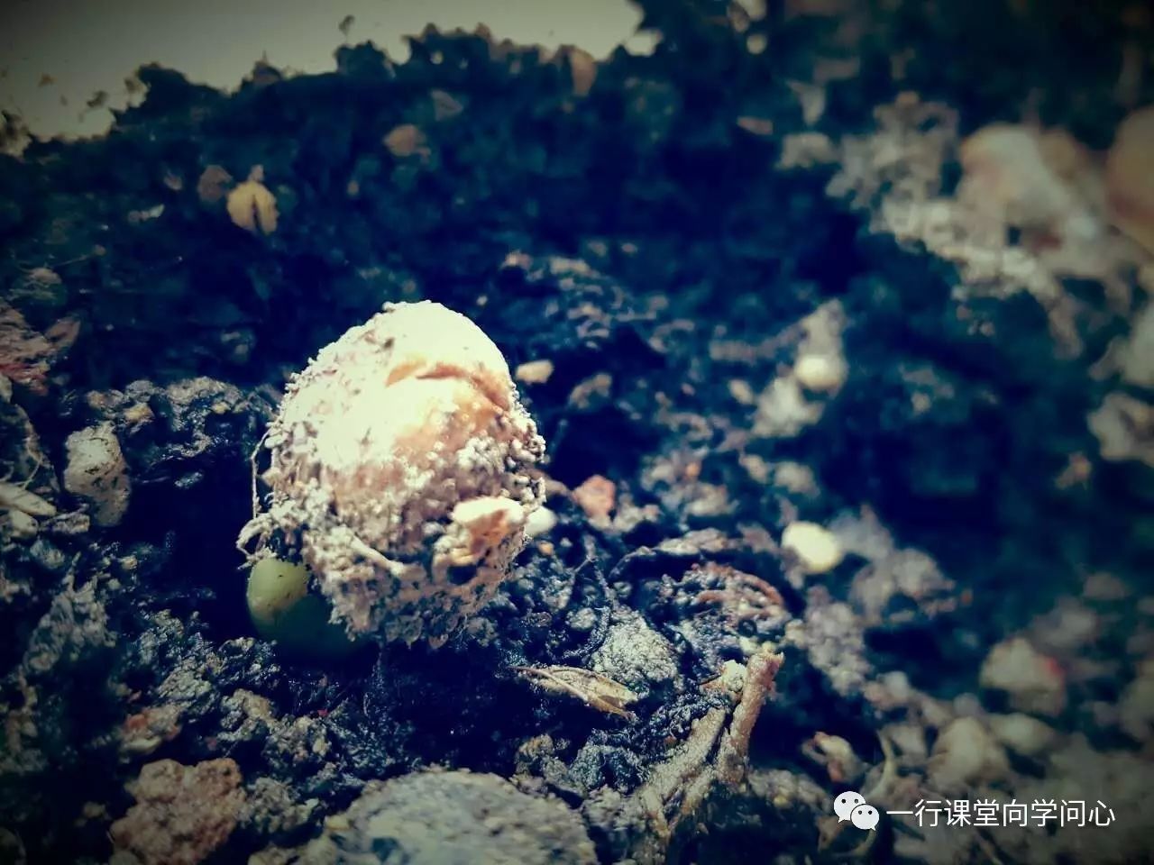 课堂重点知识归纳,课堂常用文学常识