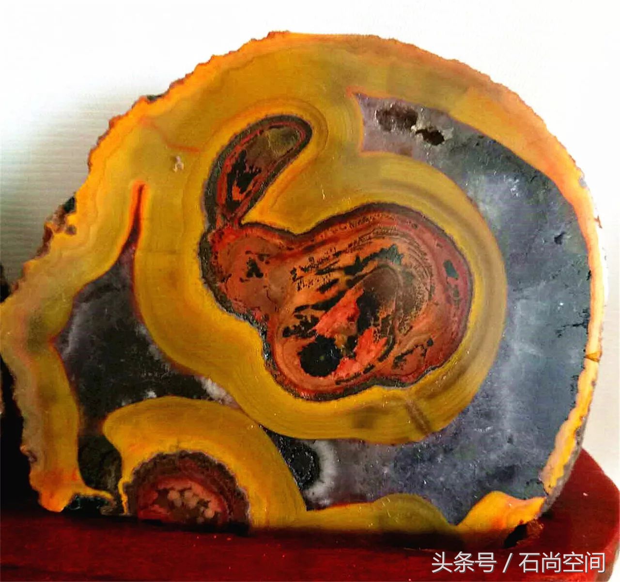 月是故乡明全集免费观看,月是故乡圆电视剧全集