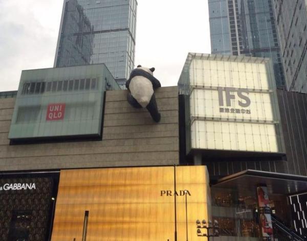 如果你来上海玩想打卡魔都,如果你要去上海我应该说什么