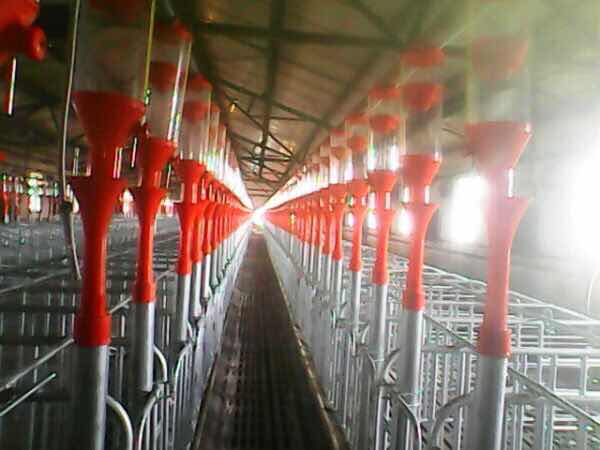 你以为你在外漂泊过得很好,其实你不知道老家的人有多少财产