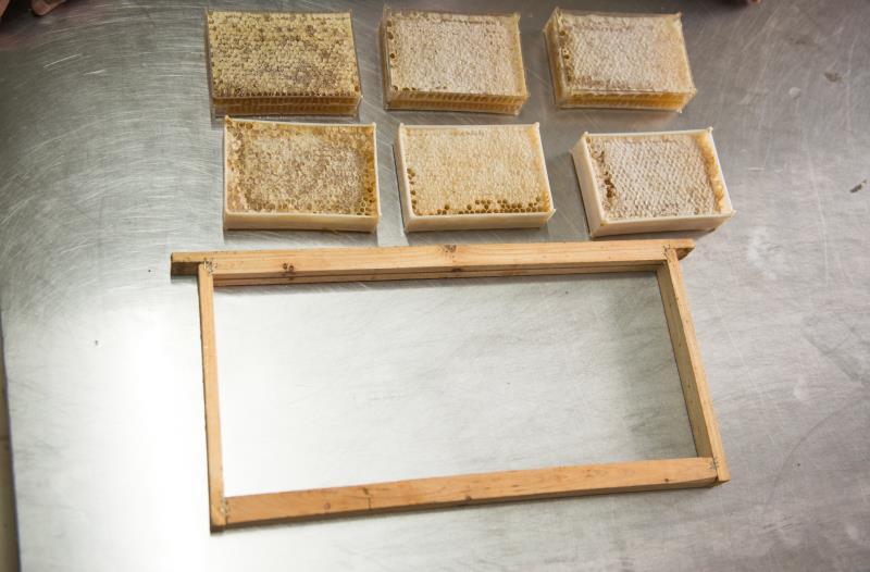 深山蜂谷悬崖土蜂蜜好吗,张家界知蜂谷养蜂