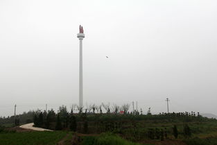 莱阳水口地趟拳传奇