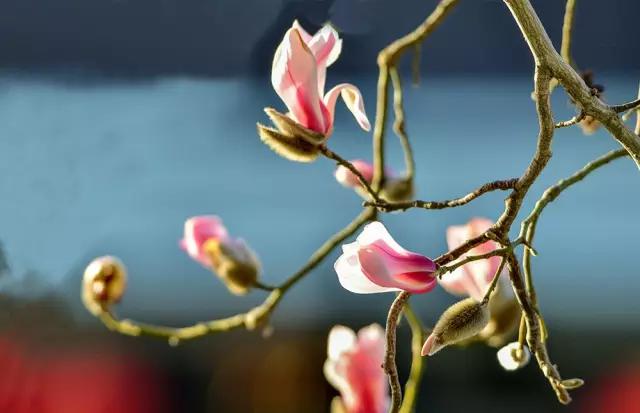 保定你竟然这么花!我真是看错你了!