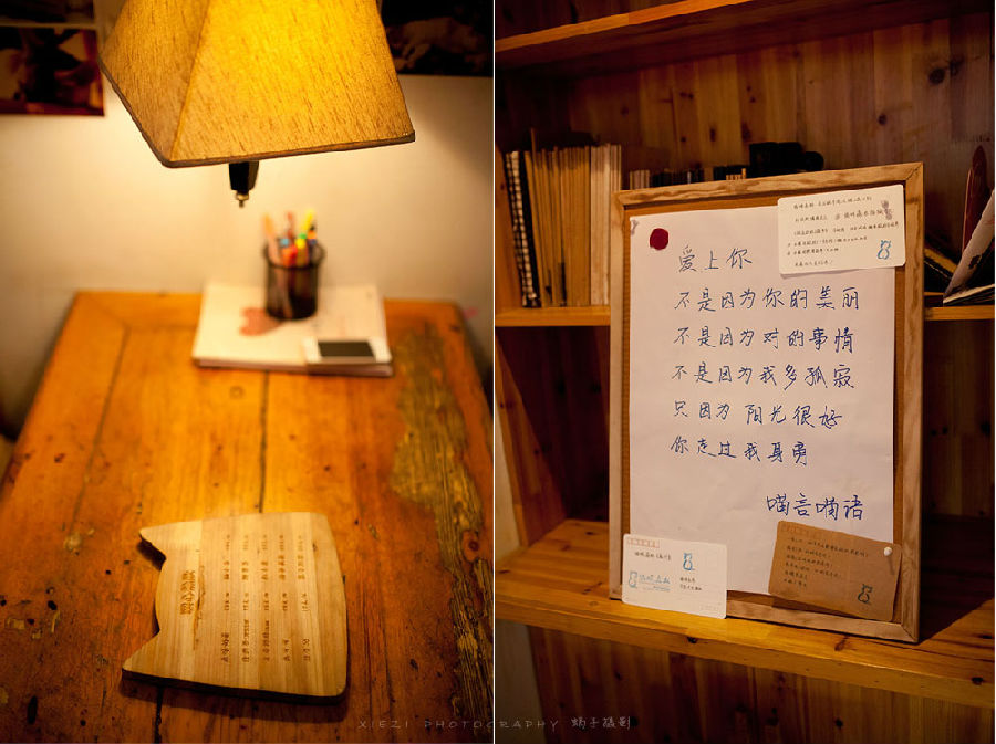 西安还有这么一个地方可以让你被猫咪围绕，享受当铲屎官的感觉