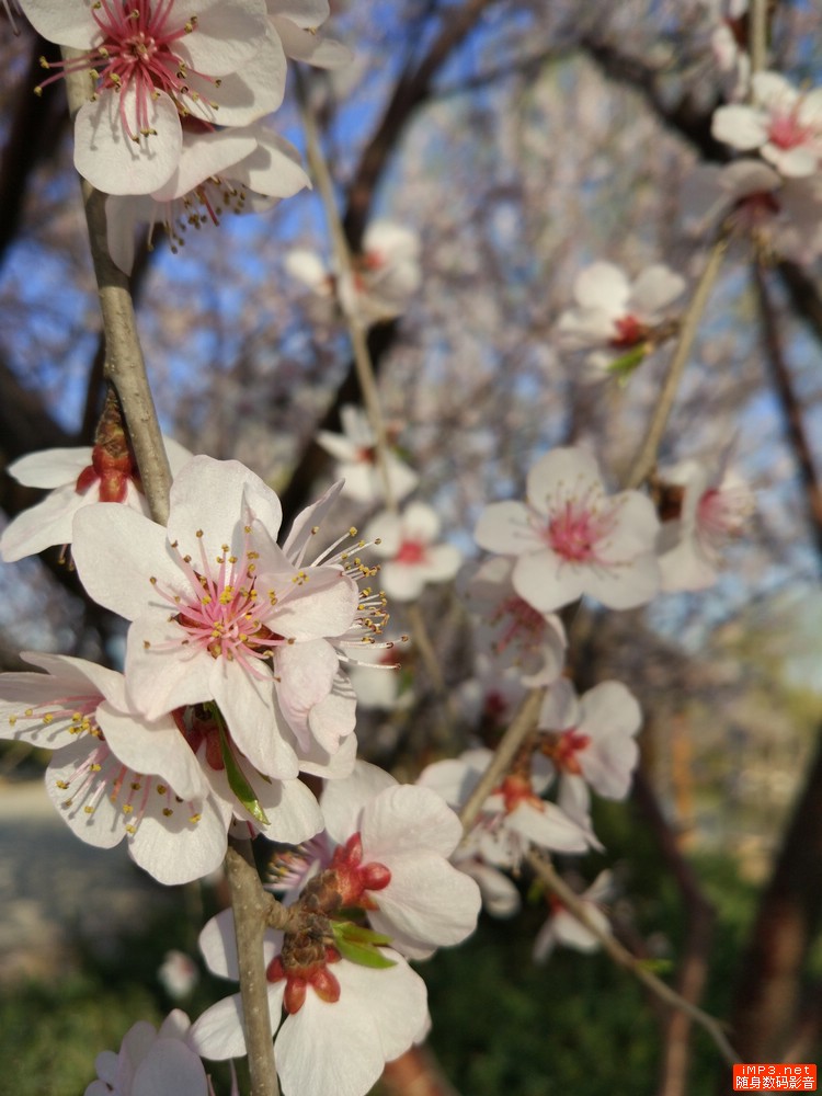 手机屏幕不好打游戏不顺滑怎么办,小米5屏幕测试