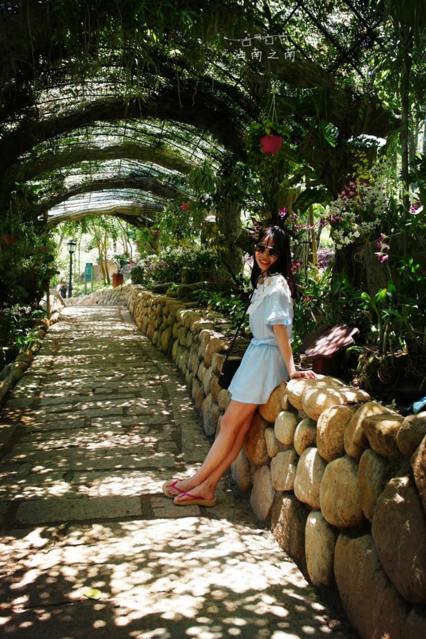 穿过云海后的美景,穿过云海看美景