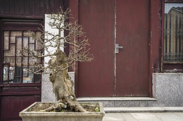 太湖舒畅之旅：乐享田园生活