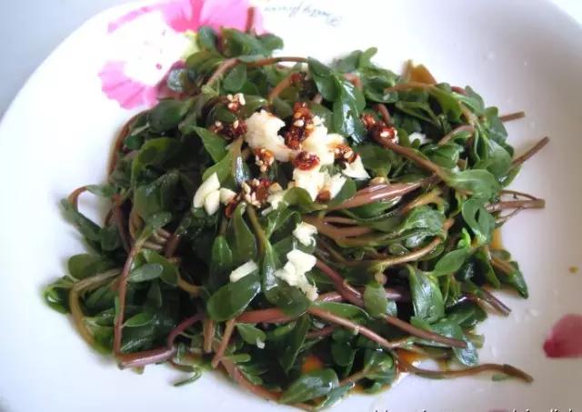 天津人可以吃的各种野菜图谱,天津吃货必须去的小吃