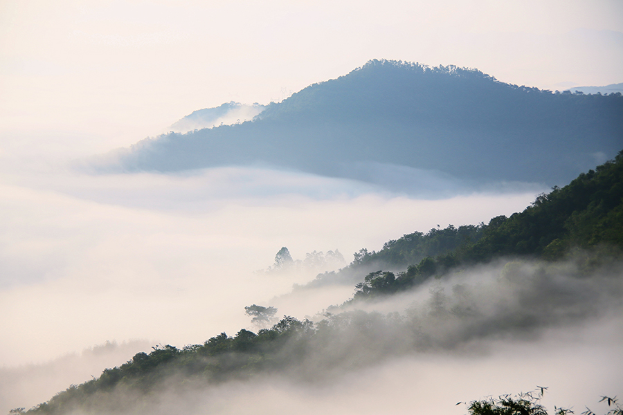 罗定看云海需要什么天气条件,云浮大云山看云海