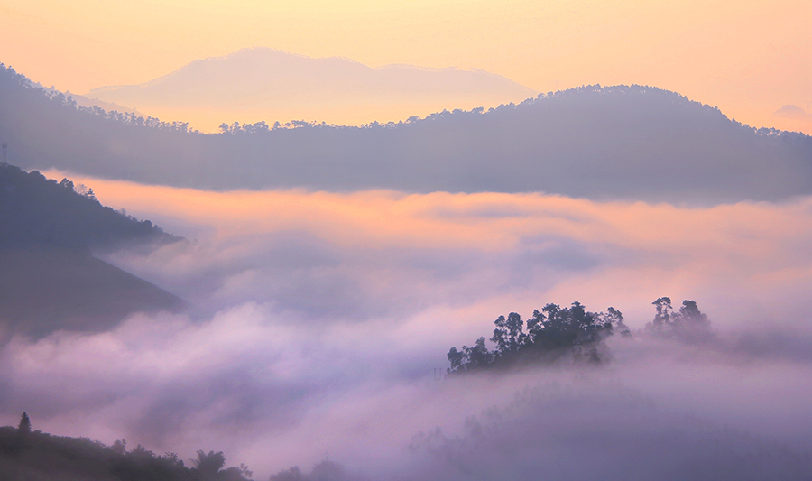 罗定看云海需要什么天气条件,云浮大云山看云海