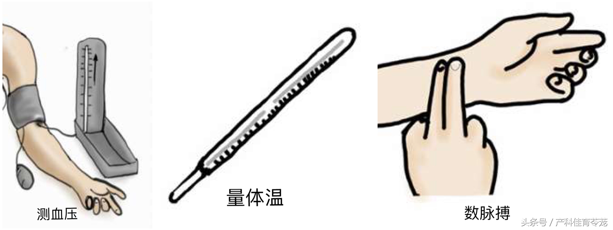 卫生部人工流产术操作教学,微管可视无痛人工流产术全过程