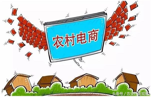 未来5年农村电商行业趋势,农村电商的当下与未来内容简介