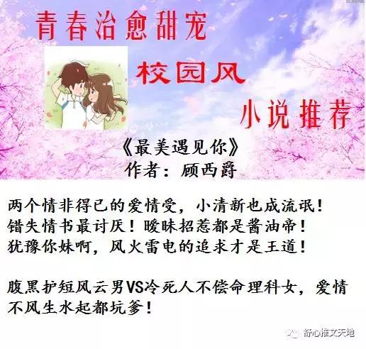 十部青春校园言情小说,青春治愈系校园风小说