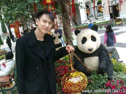 高质量富二代张康阳,张康阳汤珈铖