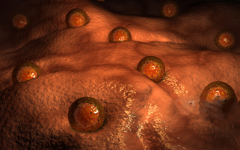 正确受孕方式是什么,辅助受孕流程