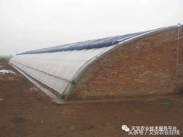 180米长14米宽温室大棚造价多少,温室大棚建造每平米价格