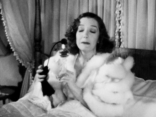 全球机场免税店购物全攻略,国内机场免税店购物全攻略