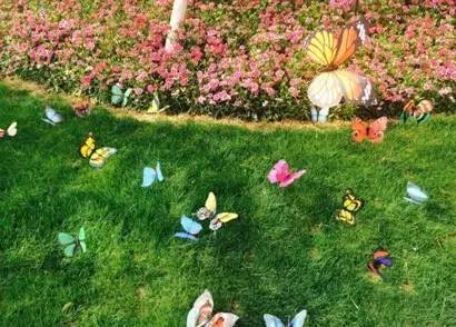 热气球南海桂城,桂城足球农庄团购