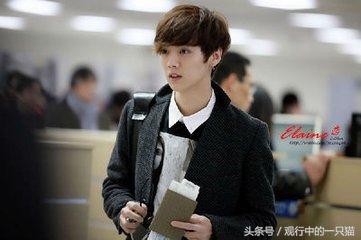 鹿晗到底有多优秀,鹿晗成功的故事