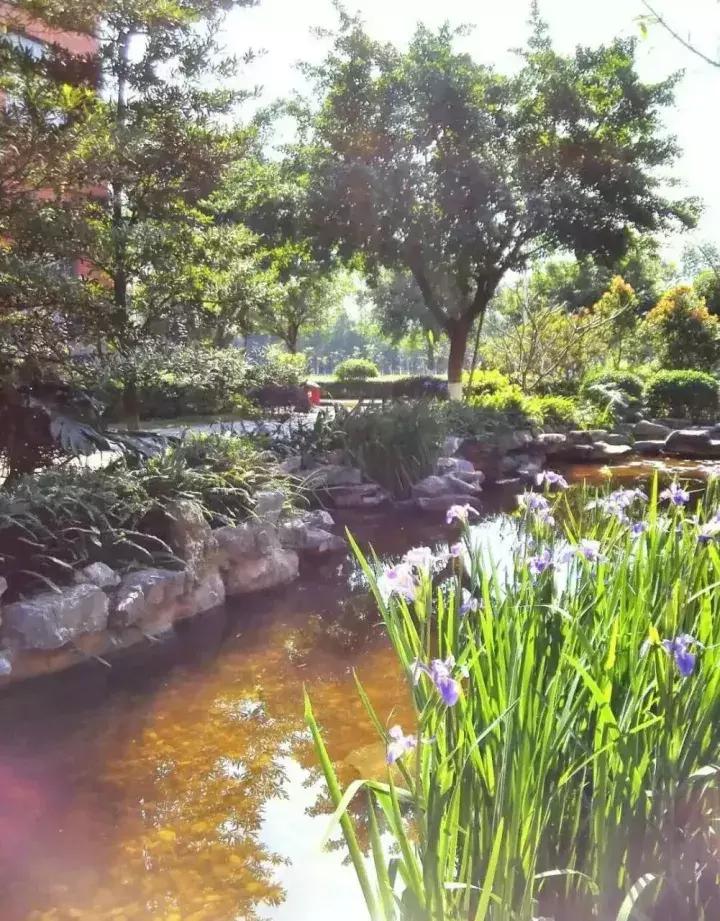 广州最美国际学校,广州最好的外国语学校