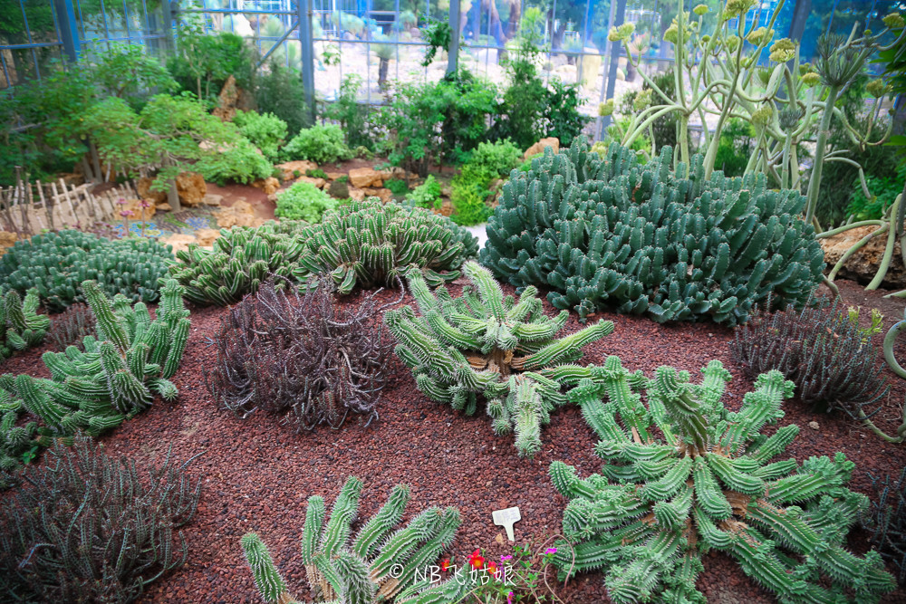 南通滨江公园亲子游,南通洲际绿博园有什么好玩的