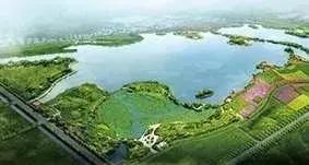 东丽湖适合居住的地方,未来5年东丽区