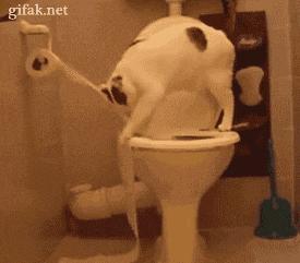 中考英语只考了50分到高中怎么办,中考英语只考二十几分怎么办