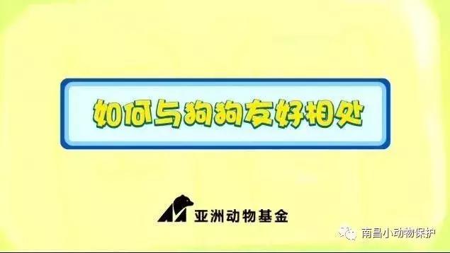 世界狂犬病日漫画,世界狂犬病漫画