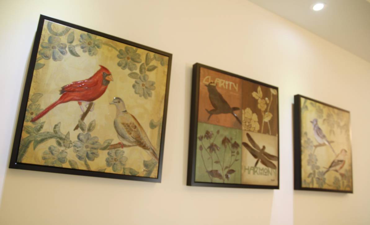 海尚壹品视频,海尚壹品