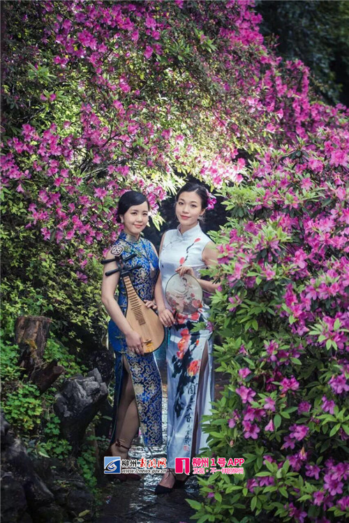 柳州女神,柳州十大女神排行榜