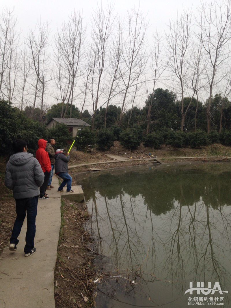 揭秘龙背后的故事,为什么那么多龙纹鲤