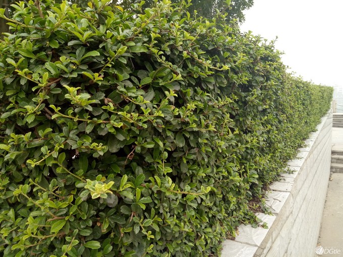 oppor9手机特色亮点,oppor9有那么好吗