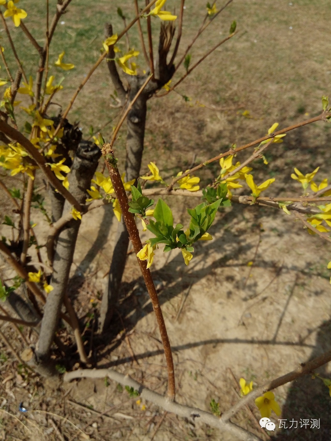 360f4高配版手机怎么样,360f4手机最新评论