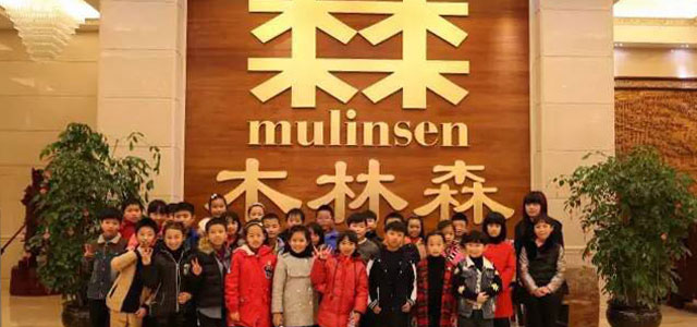 木林森适合干什么工作,木林森工作是做什么