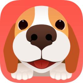 家有萌宠们的注意啦,这些app可以提高你和宠物们的生活质量