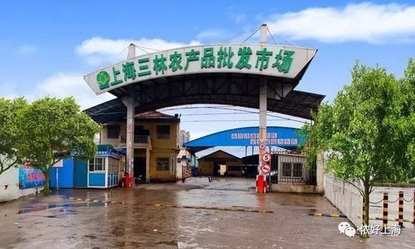 上海人的生存指南,上海生存100个小技巧