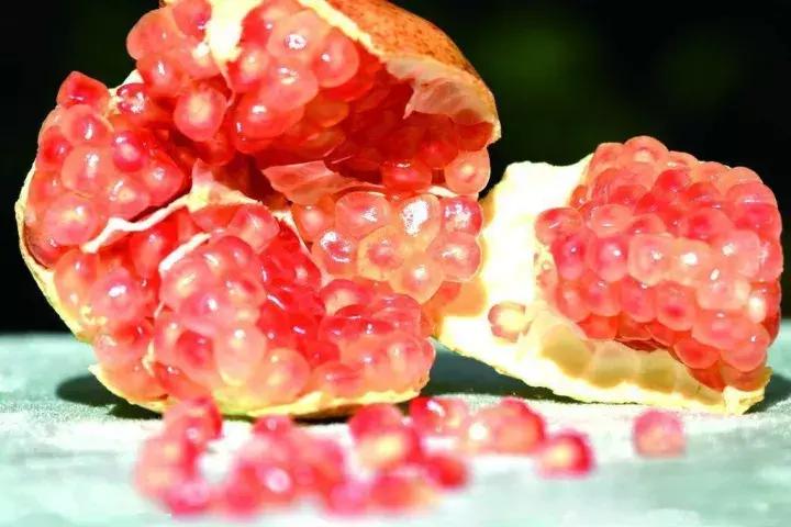 大家好，今天给大家介绍一下，这是风物君特别爱吃的——石榴