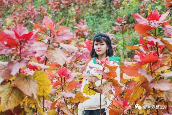 不想上班就去看看大城市,不想上班想去看山和海