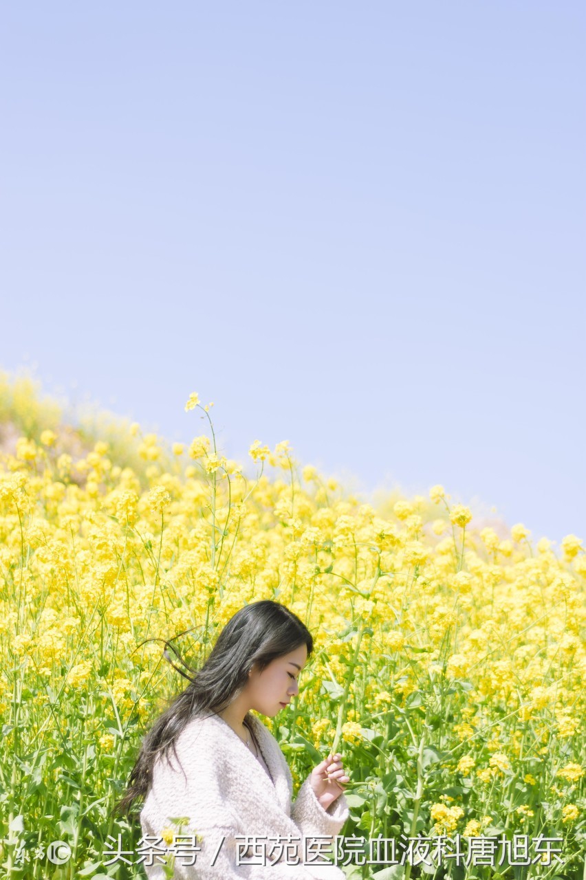 血小板减少贫血最佳治疗,贫血治好了血小板能恢复吗