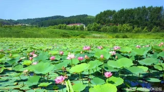 马鞍山到底是哪的,你以为的马鞍山和实际上的马鞍山