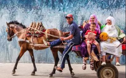 喵星人｜铲屎大大，发现一个超适合撸猫的地方……