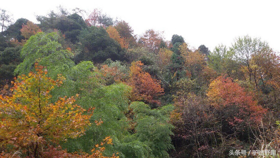 不走寻常路进山,牯牛降穿越