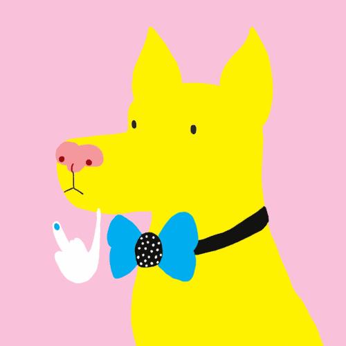 养猫狗防流感,秋冬宠物怎么预防感冒