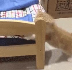 瀵圭尗鐨勮瑙ｅお娣变簡,甯︿綘鍏ㄩ潰浜嗚В姗樼尗