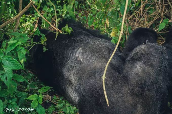 750块钱可以干什么,750块钱能干什么