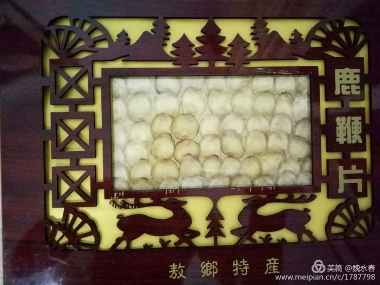 内蒙古草原旅游度假村,内蒙古敖鲁古雅景区