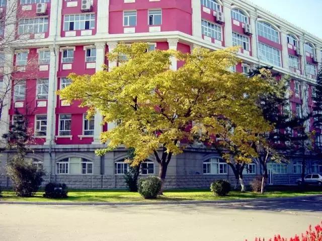 长春冬季最美拍照地,长春有一个很适合拍照的地方